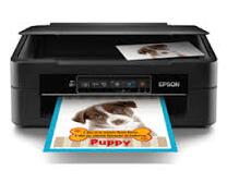 爱普生Epson XP-241 驱动