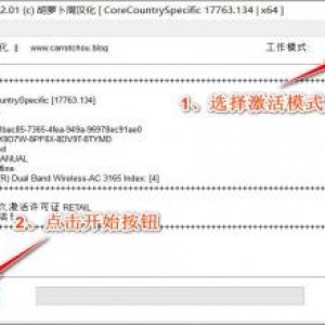 win10激活工具免费版 Win10数字激活 HWIDGen v62.01