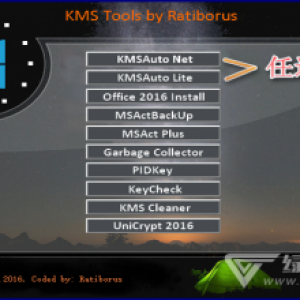 Win10数字激活工具 HWIDGen v51.15 中文版（完美激活