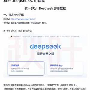 2. DeepSeek云接入安装教程