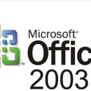 office2003 标准版